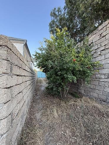 yasil dere torpaq satilir: 4 sot, Tikinti, Mülkiyyətçi, Kupça (Çıxarış) — 10