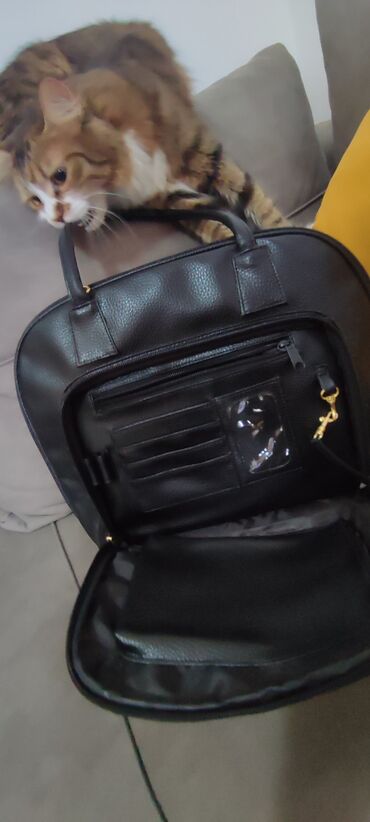 Torbe: Nove poslovne tasne.Braon odlicno organizirana 2000 din.Crna 1500 — 9