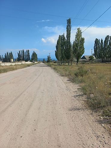 участок зария: 11 соток, Для строительства, Красная книга, Тех паспорт, Договор купли-продажи — 10