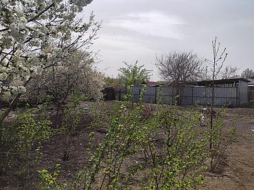 Продажа коттеджей и домов: Срочно !!! Продам дом в центре кара балты. Участок 11сотых — 10