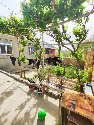 Həyət evləri və villaların satışı: Lökbatan qəs. 4 otaqlı, 120 kv. m, Kredit yoxdur, Orta təmir — 10