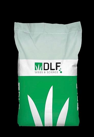 Газон: Газон Семена европейского газона DLF (Дания) *Солнечные *Теневые — 8