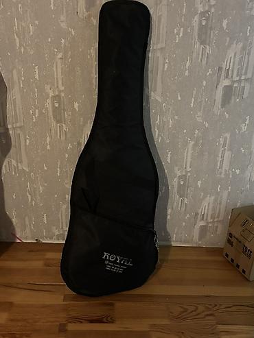 klas 6: Elektro gitar – Eko (Est. 1959) brendi, Strat tərzi gövdə dizaynı - — 1