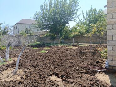 Torpaq sahələrinin satışı: 6 sot, Tikinti, Makler, Bələdiyyə — 9