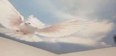 Натяжной потолок: Натяжной потолок Глянцевое, Матовое, 3D потолки — 9