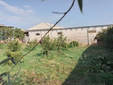 Həyət evləri və villaların satışı: Həyət evləri və villaların satışı — 15