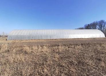 Теплицы: Продается теплица. Действующий тепличный комплекс земельным участком 3 — 7