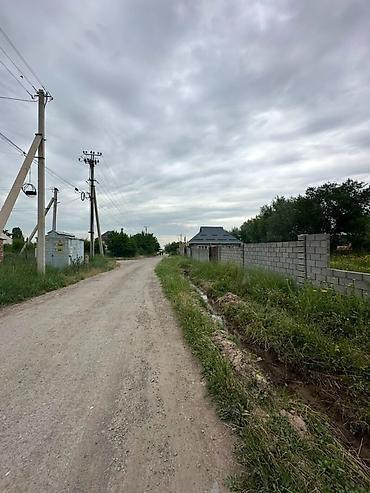 ысык куле: 10 соток, Курулуш, Сатып алуу-сатуу келишими, Кызыл китеп — 8