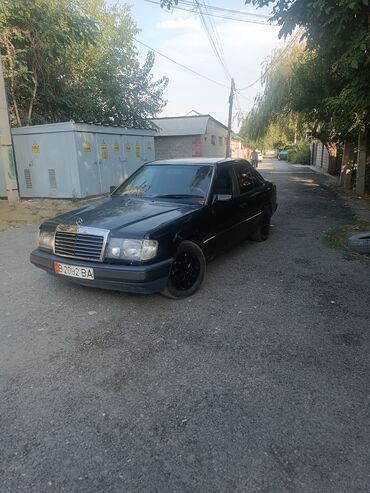 Mercedes-Benz: Mercedes-Benz 220: 1991 г., 2.5 л, Механика, Дизель, Седан