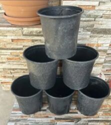 alov gülü: Gül və dibçək qabları satılır.Plastik,kauçuk materyaldır.Sayı 50