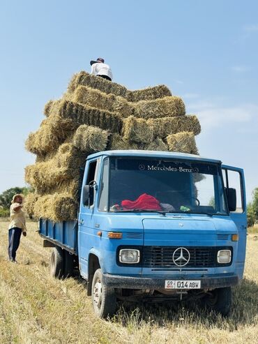 купить мерседес спринтер грузовой в литве: Жүк ташуучу унаа, Mercedes-Benz, Стандарт, 4 т, Колдонулган