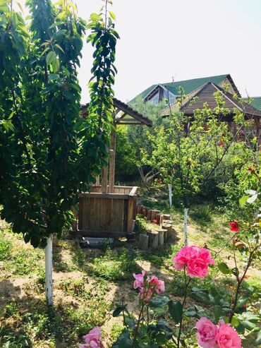 Bağ evlərinin kirayəsi: 100 kv. m, 2 otaqlı, Hovuzsuz — 4