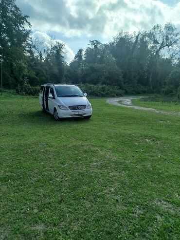фольксваген тигуан дизель: Mercedes-Benz Vito/Viano miniven - Gümüş rəngli, geniş salonlu