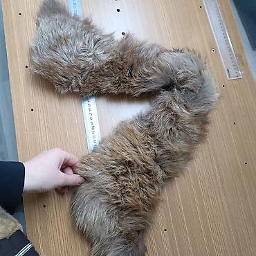 мех на воротник: Продаю меховые воротники натуральные — 8