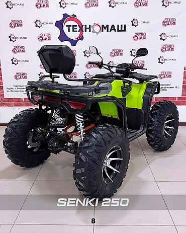 Квадроциклы: Квадроцикл Бензин, 250 куб. см, Взрослый — 8