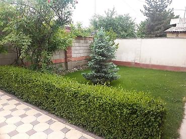 Продажа домов: Дом, 160 м², 6 комнат, Собственник, Косметический ремонт — 13