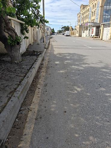 sumqayit 17 mkr: ŞAĞANDA PREMİUM TORPAQ SAHƏSİ SATILIR! 124 saylı məktəbin tam — 1