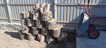 Дрова Дуб at lalafo.kg Дрова Дуб