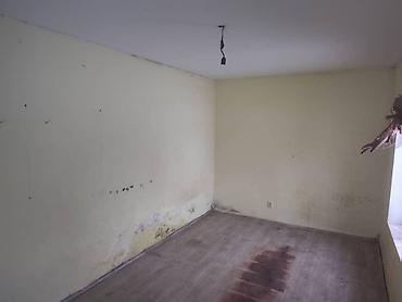 Продажа сельхоз предприятий: Ферма КРС, 800 соток, Действующий, Частично с оборудованием, Скважина, Холодная вода, Электричество — 12