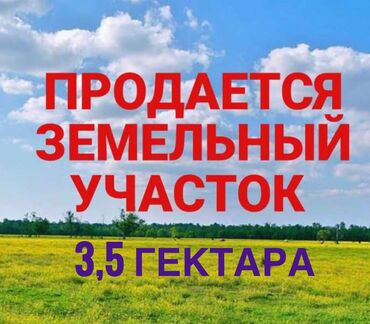 тынчтык ж м: 3500 соток, Бизнес үчүн, Техпаспорт, Кызыл китеп