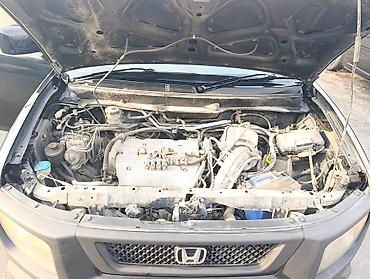 Honda: Honda Element: 2004 г., 2.4 л, Автомат, Газ — 4