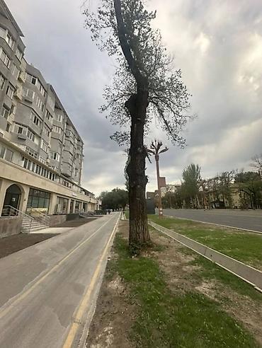 Продажа квартир: 3 комнаты, 100 м², Политех Индивидуалка, 7 этаж, Косметический ремонт — 1