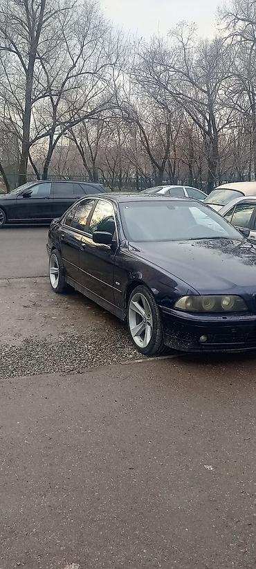 bud e9: BMW 530: 2001 г., 3 л, Автомат, Бензин, Седан — 1