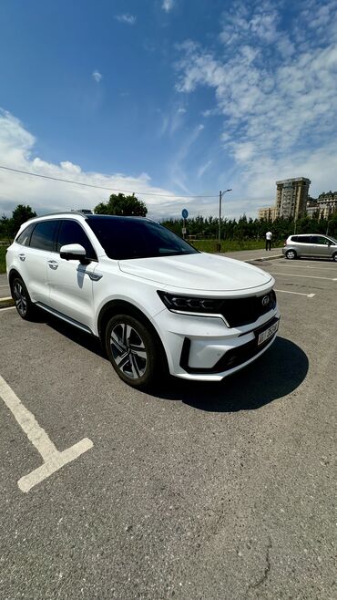 турецкие сидения для микроавтобусов цена: Kia Sorento: 2020 г., 1.6 л, Робот, Гибрид