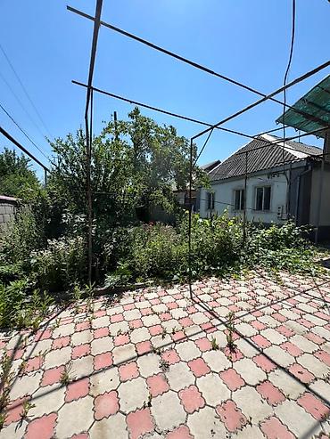 летние: Угловой дом с участком 7 соток в с. Новопокровка, начало села — 4