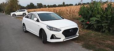 sonata: Hyundai Sonata: 2022 г., 2 л, Автомат, Газ, Седан — 4