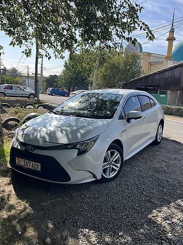 авто лейлек: Toyota Levin: 2021 г., Вариатор, Бензин, Седан — 1