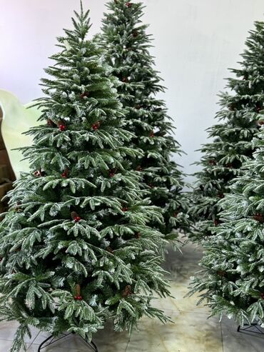 Yeni il ağacları: Məhsul: Yeni il şam ağacı koleksiyası 120 sm -70 man • 150 sm-100man — 1