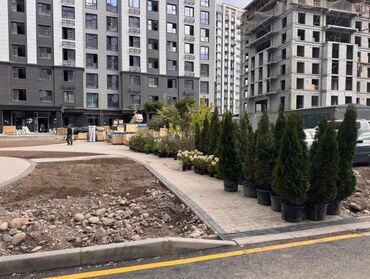 квартиры в районе пишпек: 2 бөлмө, 85 кв. м, Элитка, 8 кабат