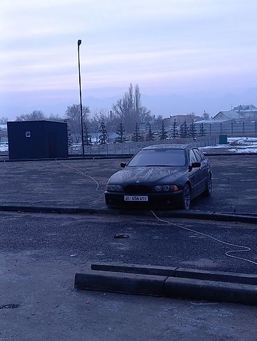 ауди сз: BMW 5 series: 2001 г., Механика, Седан — 1