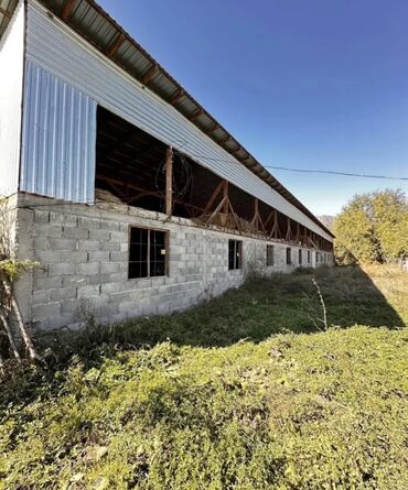 Продажа участков: 217 соток, Для сельского хозяйства, Красная книга — 5