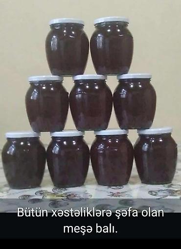 Temiz meşe balı isteyen müraciet etsin. Samur Yalama milli parkının lalafo.az -da Temiz meşe balı isteyen müraciet etsin. Samur Yalama milli parkının