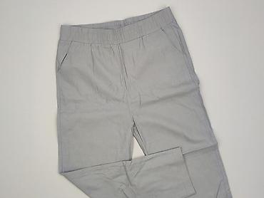 dzik dres: Spodnie dresowe damskie, rozmiar 2XL — 1