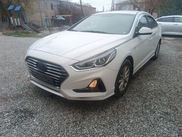 хундай салярис 2015: Hyundai Sonata: 2017 г., 2 л, Автомат, Газ, Седан