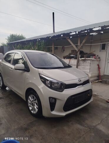 передний бампер опель вектра б: Kia Morning: 2017 г., 1 л, Автоматтык, Бензин, Седан