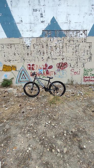 İdman velosipedləri: Adidas velosiped.Dəmir rama .29 ölçü.1-2 ay sürülüb əla vəziyyətdədir — 2