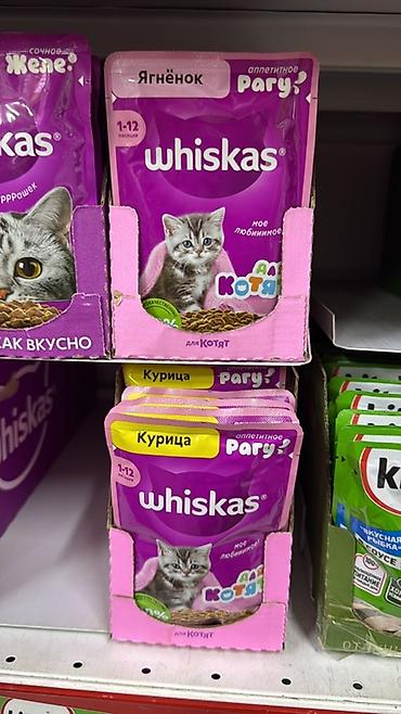 сухой поек: Цена указана за 1КГ!!! Royal Canin — сухие корма для кошек, фасовка — 8