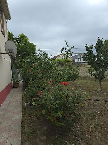 Həyət evləri və villaların satışı: 6 otaqlı, 86 kv. m, Kredit yoxdur, Orta təmir — 11