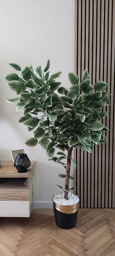 biljka monstera: Veliko dekorativno drvo u saksiji – veštačka biljka za — 5