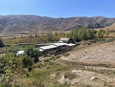 Продажа коттеджей и домов: 4 комнаты, 100 м², 100 соток, Талас, Собственник — 33