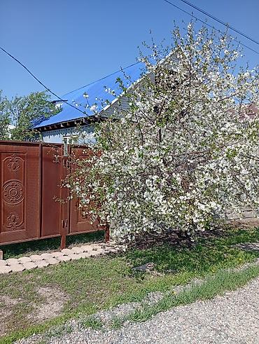 Продажа времянок: 🌳🏦🌳 УЙ + БИЗНЕС 🌳🏦🌳 ЧОН УЙ САТЫЛАТ, РАЗМЕРИ 12/ — 3