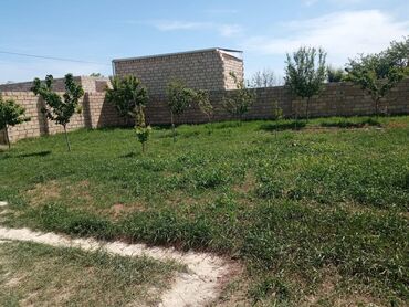 Həyət evləri və villaların satışı: 3 otaqlı, 100 kv. m, Orta təmir -da lalafo.az — 9 Həyət evləri və villaların satışı: 3 otaqlı, 100 kv. m, Orta təmir — 9