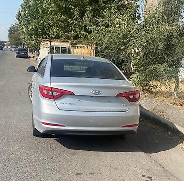 решетка на сонату: Hyundai Sonata: 2017 г., 2 л, Автомат, Бензин, Седан — 2