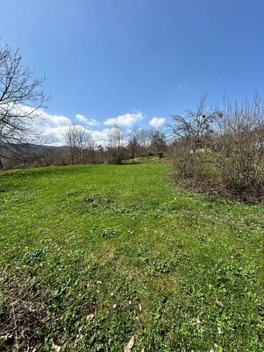 Torpaq sahələrinin satışı: 20 sot, Kənd təsərrüfatı, Mülkiyyətçi, Kupça (Çıxarış) — 4