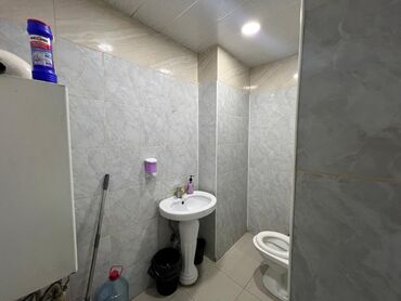 Ofislər: Azadlıq prospektində, Azadlıq metrosuna və Nəsimi metrosuna yaxın — 4