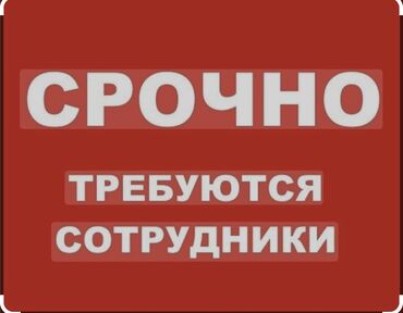 Долгосрочная аренда квартир: Менеджер по продажам. Вечерка